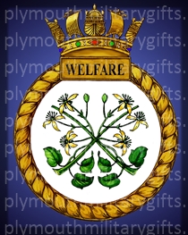 HMS Welfare Magnet